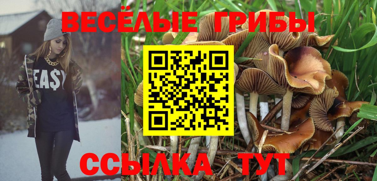 Галлюциногенные грибы Magic Shrooms  Галлюциногенные грибы мицелий  Вход с VPN  Королёв 